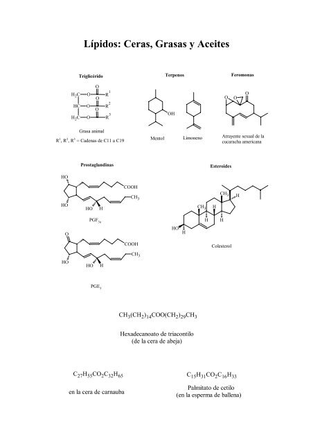 l-pidos-ceras-grasas-y-aceites-depa
