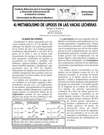 4) metabolismo de lipidos en las vacas lecheras - Babcock Institute