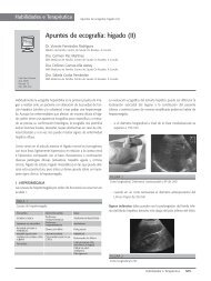 Apuntes de ecografia: higado - Asociación Galega de Medicina ...