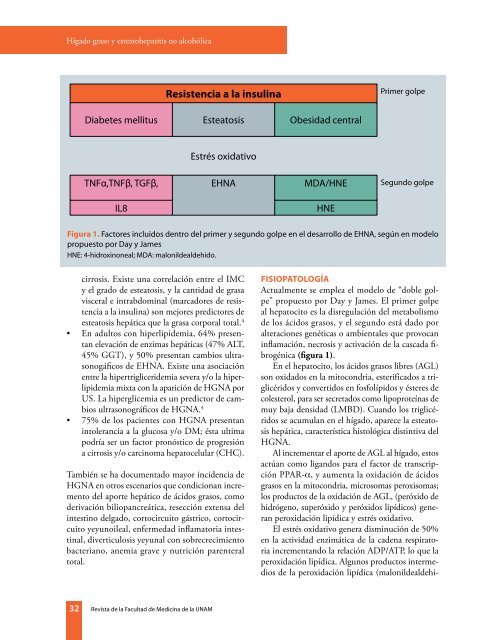 Hígado graso y esteatohepatitis no alcohólica - edigraphic.com