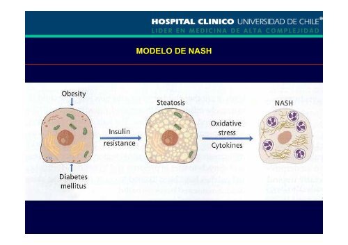 Hígado graso no alcohólico_Dr. Jaime Poniachick.pdf - Asociación ...