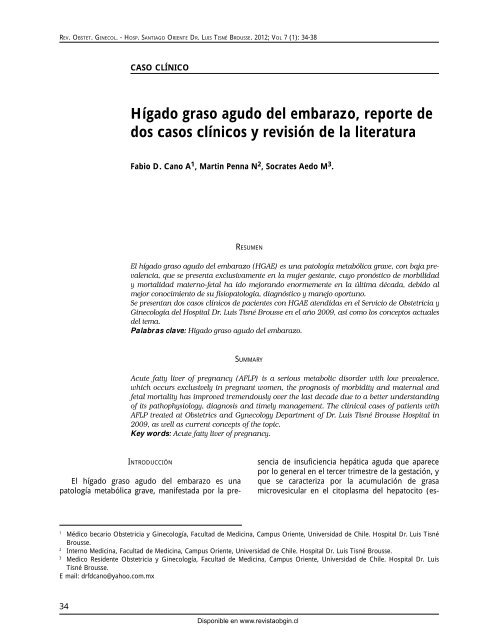 Revisión de la literatura relacionada con la hipertensión inducida por el embarazo