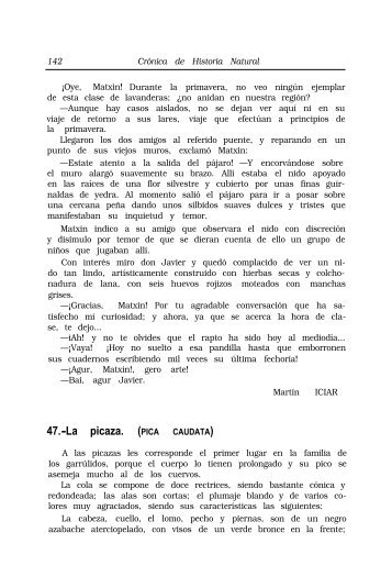Crónica de Historia Natural. 47. La picaza (Pica caudata) - Aranzadi