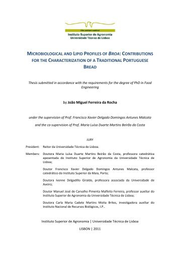 microbiological and lipid profiles of broa:contributions for the ...