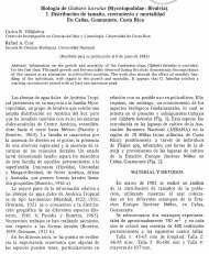 Biología de Glabaris luteolus - Revista de Biología Tropical ...