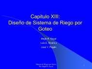 Diseño de Sistema de Riego por Goteo