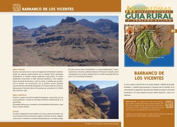 BARRANCO DE LOS VICENTES - Maspalomas