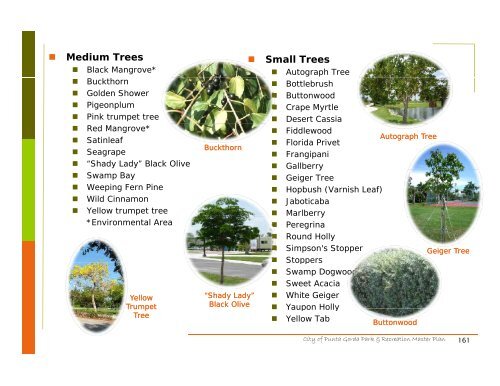 Click to view the Parks & Recreation Master Plan - City of Punta Gorda