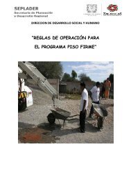 “REGLAS DE OPERACIÓN PARA EL PROGRAMA PISO FIRME”