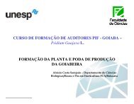 Formação da planta e poda de produção da goiabeira