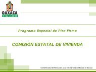 Programa Especial de Piso Firme - Transparencia Presupuestaria ...