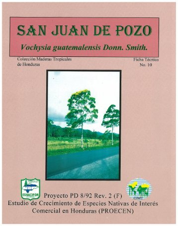 San Juan de Pozo, Vochysia guatemalensis Donn. Smith. - ITTO