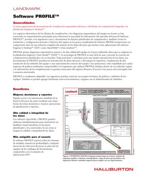 Software PROFILE™ - Halliburton