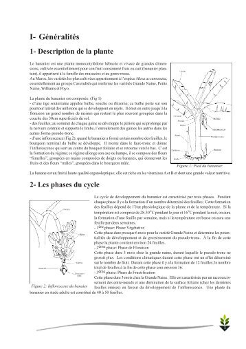 I- Généralités - Cropdevelopment.org