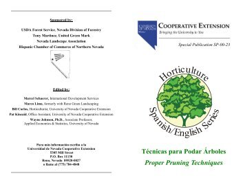 Técnicas Para Podar Árboles Proper Pruning Techniques