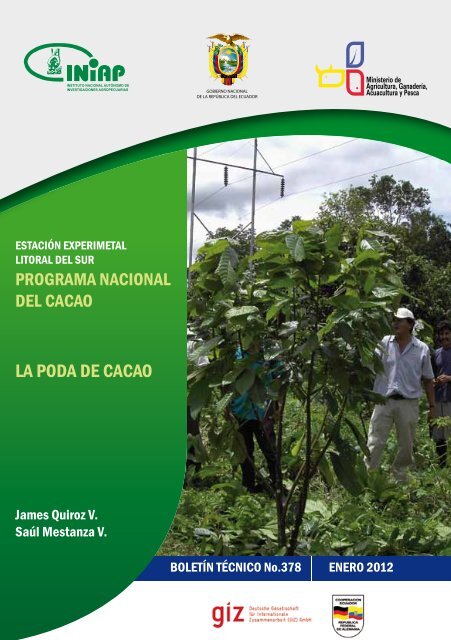 LA PODA DE CACAO