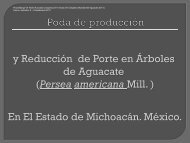 PRESENTACIÓN: Poda de producción y Reducción de Porte en ...