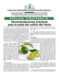 Recomendaciones prácticas para la poda del cultivo del limón - FHIA