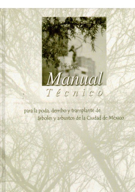 Manual Técnico para la Poda, Derribo y Transplante de Árboles