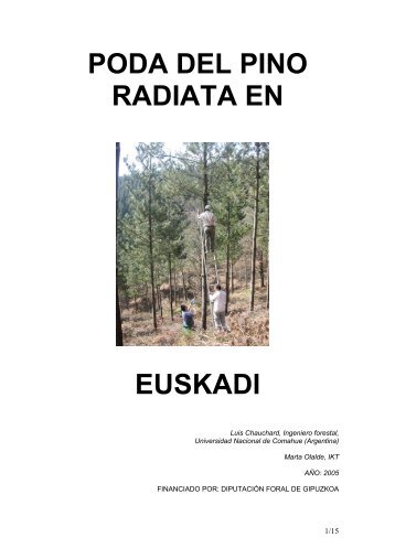 PODA DEL PINO RADIATA EN EUSKADI - Basoa.org