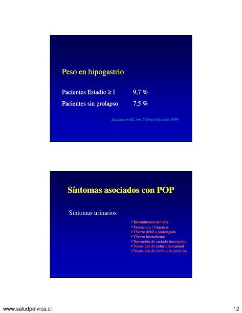 Piso pélvico: sistema dinámico y coordinado - Saludpelvica.cl