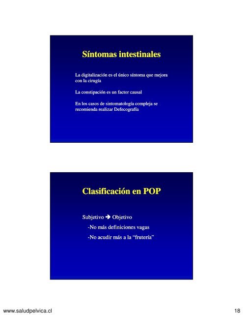 Piso pélvico: sistema dinámico y coordinado - Saludpelvica.cl