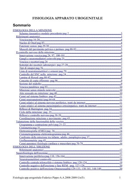 cosa provoca l erezione in un uomo pdf