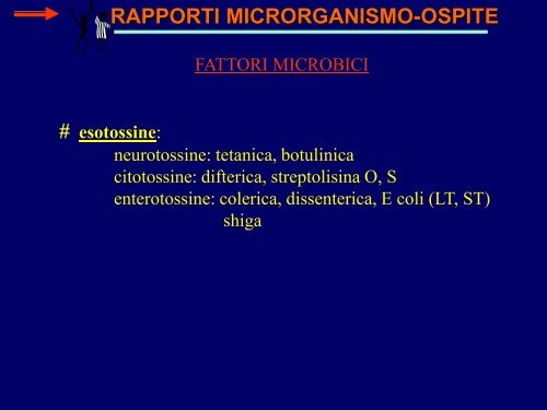 13) meccanismi patogenetici batteri ppt