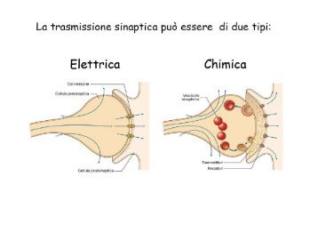 Lezioni 4 - 8