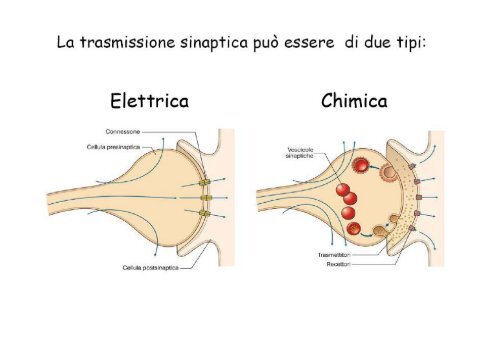 Lezioni 4 - 8