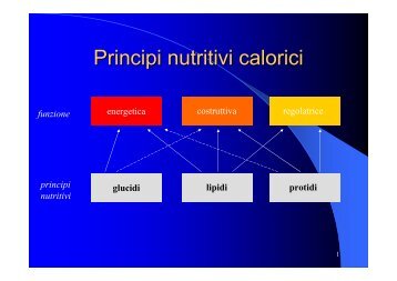 Nutrimenti calorici - Facoltà di Medicina e Chirurgia