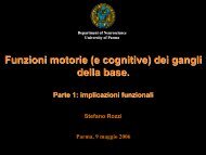 Funzioni motorie (e cognitive) dei gangli della base.