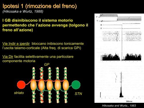 Funzioni motorie (e cognitive) dei gangli della base.