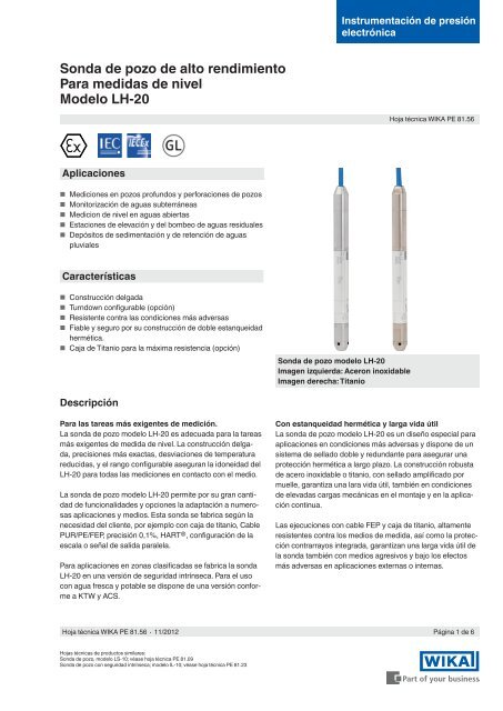 Sonda de pozo de alto rendimiento Para medidas de nivel Modelo ...