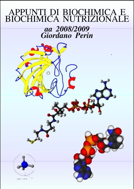 appunti di biochimica e biochimica nutrizionale - ClinicaVirtuale ...