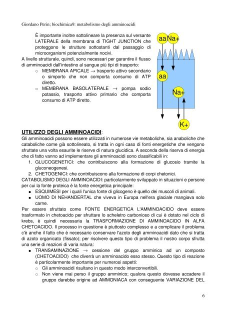 appunti di biochimica e biochimica nutrizionale - ClinicaVirtuale ...