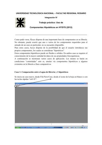 Trabajo práctico: Uso de Componentes Hipotéticos en HYSYS (2012)