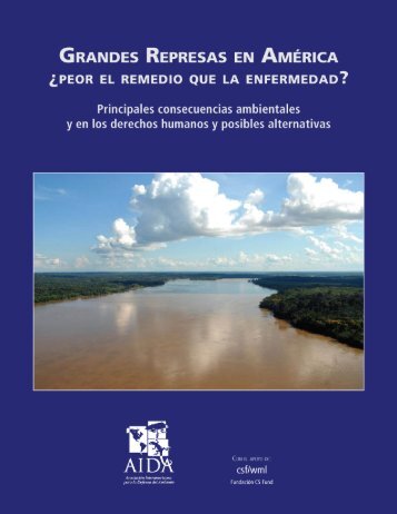 Grandes Represas en América, ¿Peor el remedio que la enfermedad?