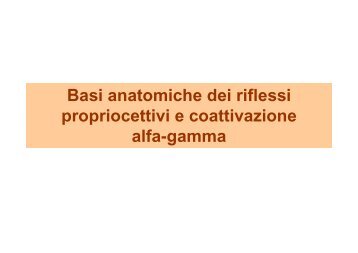 Basi anatomiche dei riflessi propriocettivi e coattivazione alfa-gamma