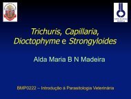 Trichuris, Capillaria, Dioctophyme e Strongyloides - USP