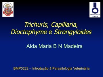 Trichuris, Capillaria, Dioctophyme e Strongyloides - USP