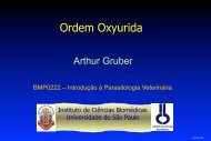 Ordem Oxyurida - USP