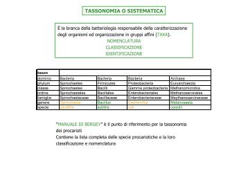 lezione 7mg