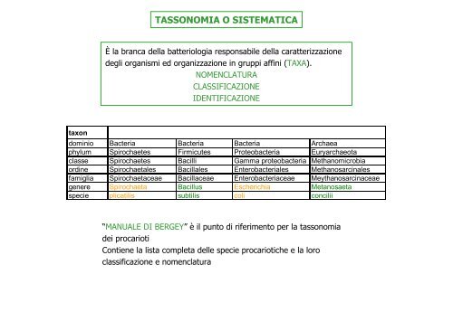 lezione 7mg