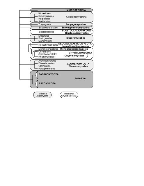 Elsevier Editorial System(tm) for Mycological ... - Clark University