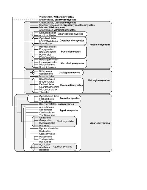 Elsevier Editorial System(tm) for Mycological ... - Clark University