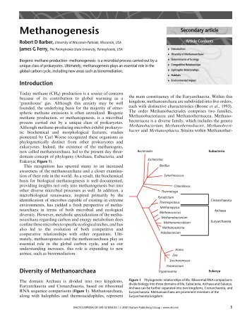 Methanogenesis - Penn State University