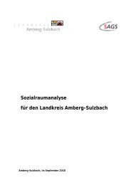 Sozialraumanalyse für den Landkreis Amberg-Sulzbach