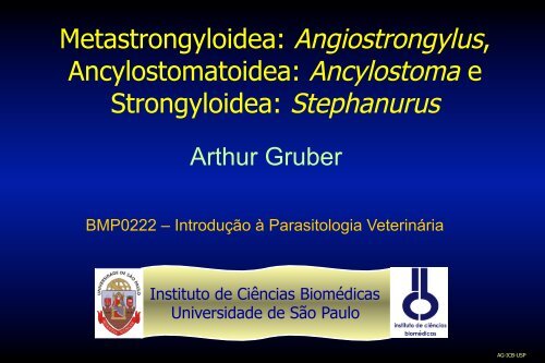Metastrongyloidea: Angiostrongylus, Ancylostomatoidea ... - USP