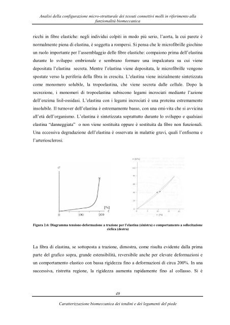 caratterizzazione biomeccanica dei tendini e dei legamenti del piede